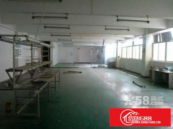 大浪石龙仔工业区新出500平600平800平带装修厂房招租