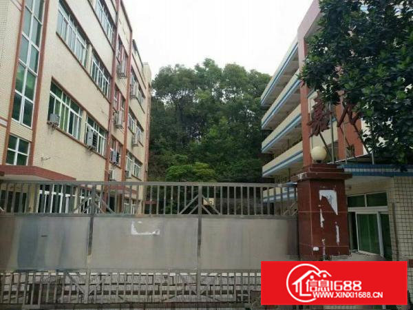 凤岗独院厂房出租，共6000平方，适合各种行业！