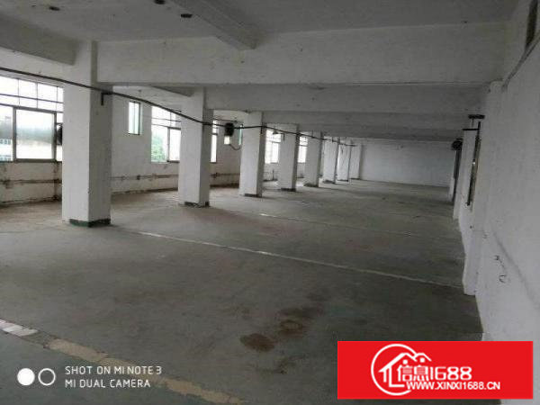 松岗大田洋2160平厂房火热出租，可分割，价格实惠