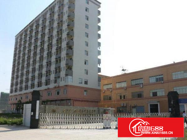 业主直租，长安沙头村建安路2800平方一楼厂房，低价出无中介