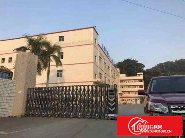 石排新出独院厂房！面积4000平米