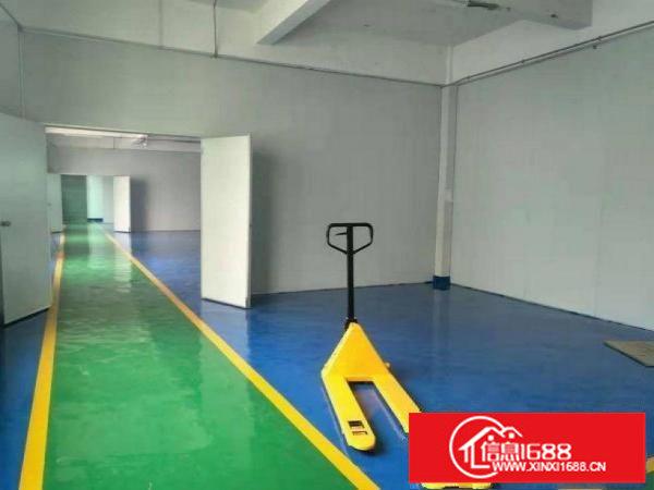 坂田和磡村业主分租一楼厂房1000方，带装修