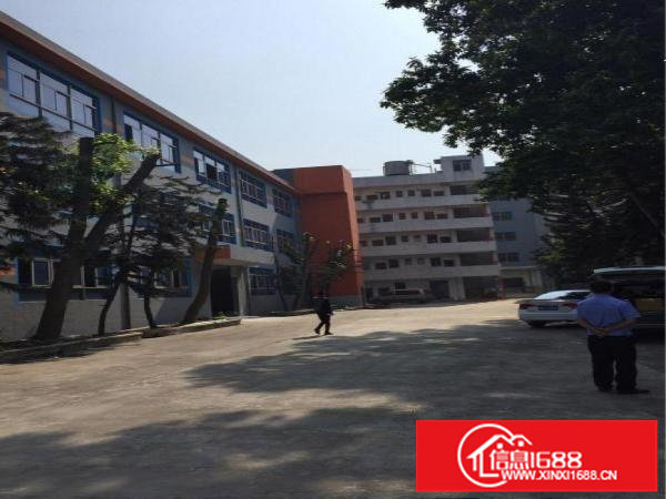 坪地北通道1370平原房东厂房出租