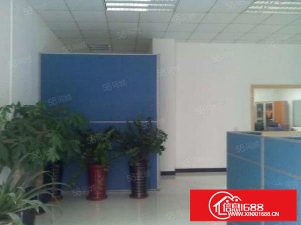 横坑新出独院厂房6000方花园式空地大