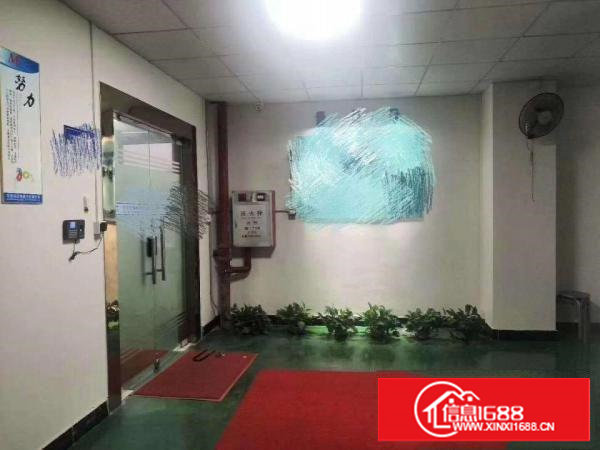 沙头代客转租楼上500平全新无尘车间水电齐全机会难得厂房出租