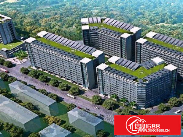 出租龙岗区坪地高桥社区全新红本厂房