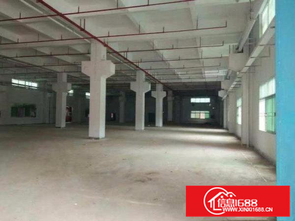 长安乌沙振安路长荣国际旁三层独院5500平方整租分租