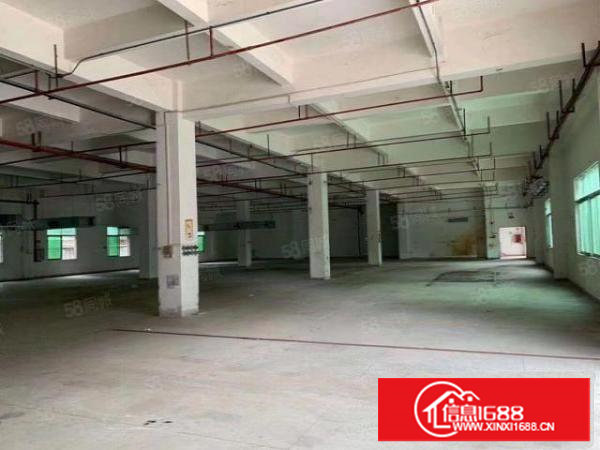 东莞塘厦大坪新出原房东1楼800平米出租，高6米租23元可办