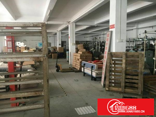 原房东直租500平方出租在坪地中心地段