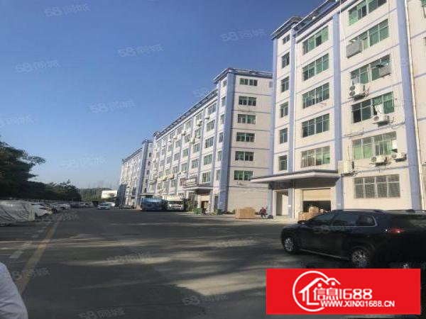 坂田上雪科技园厂房115平方250平方1000平方出租