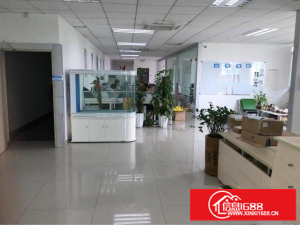 上雪科技园现有300平米带装修厂房出租
