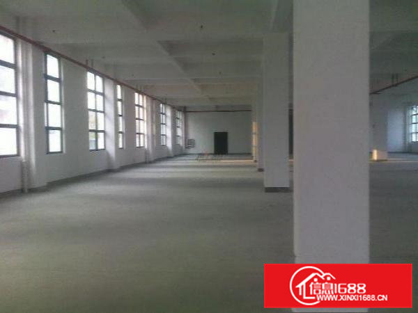 凤岗新出一楼5米高800平方出租