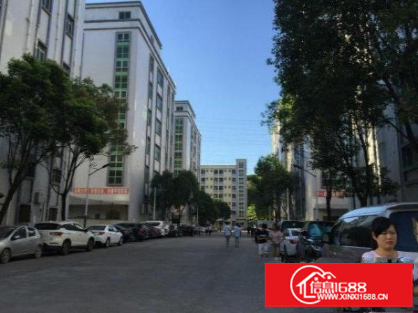 龙华大浪3600/8200平独门独院厂房