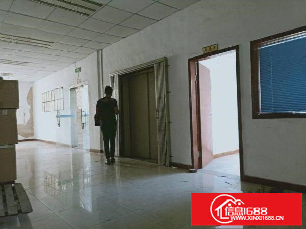 龙华大浪商业中心附近新出楼上带装办公厂房1100平