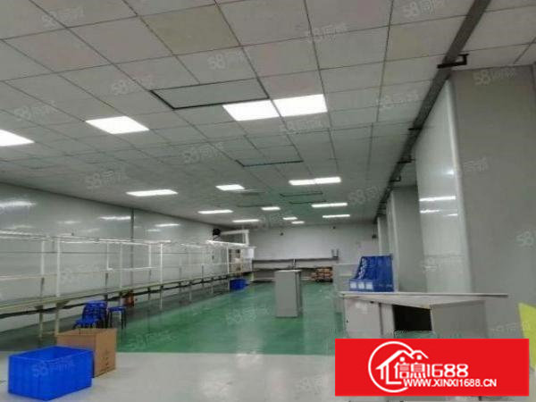 嶂背工业区原房东实际面积现成电子厂带精装修厂房1260平米