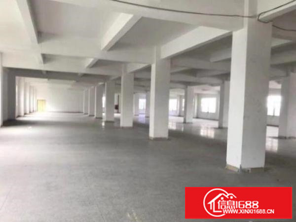 坪山新出原房东独院10000平，无公摊，大小可分