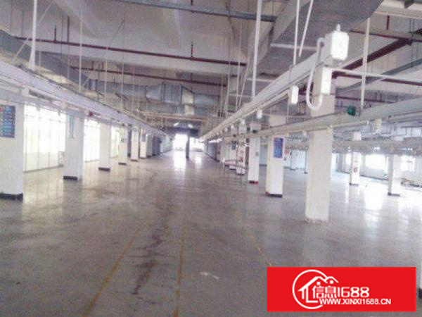 出租惠阳新墟独院厂房二楼900平方