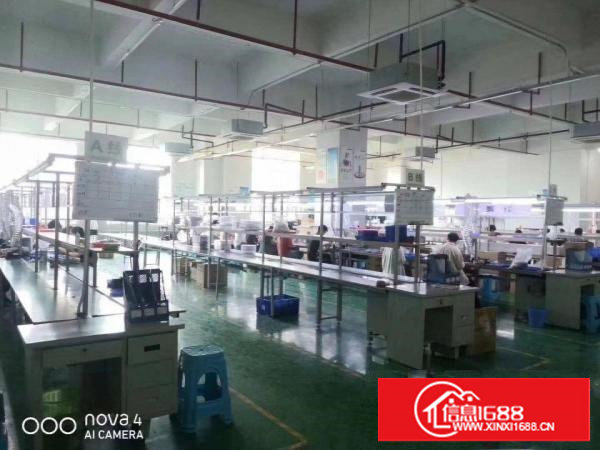 长安乌沙新出楼上1600平米厂房出租，（办公室）豪华装修