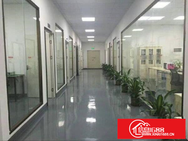 布吉上水径独门独院1480平标准厂房