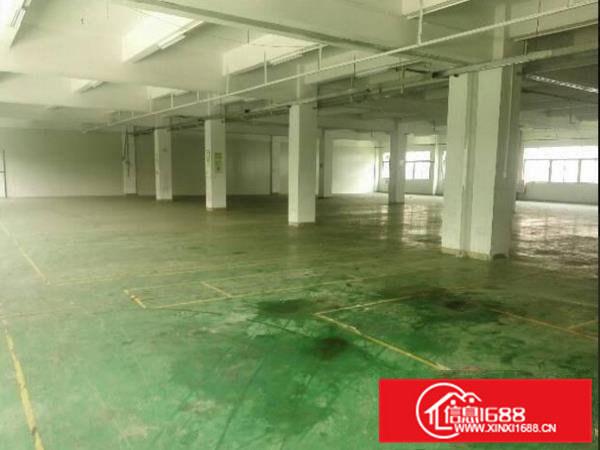 桥头邵岗头二至三楼2500平厂房可分租