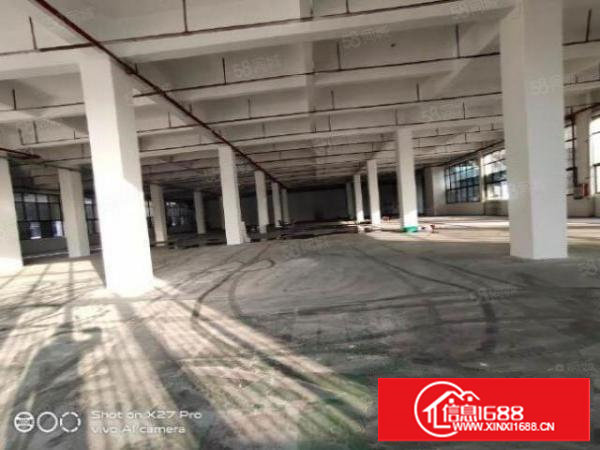 塘厦龙背岭标准一楼3200平厂房招租！带消防喷淋，可做电商园