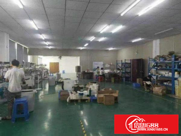 大朗竹山出租办公厂房800平，拎包即可，行业不限