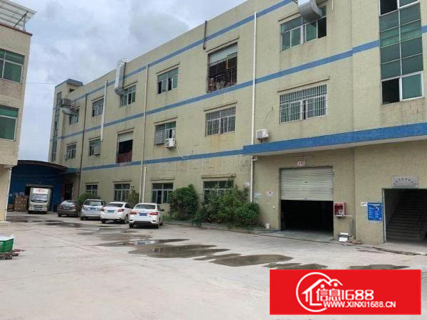 出租桥头镇桥头城区原房东独院6500平带独立办公楼