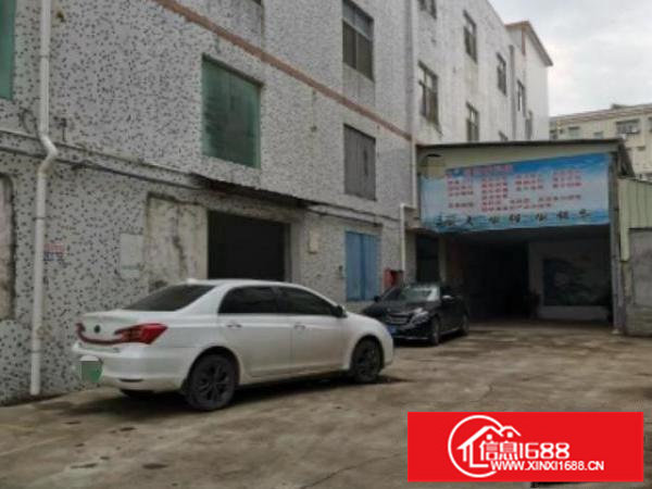 碧岭新出独院厂房实际面积出租一楼高度6米