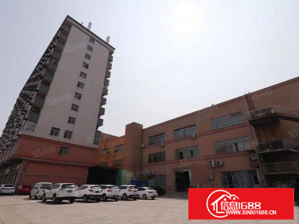 长安沙头村建安路800平米办公仓库厂房业主便宜直租