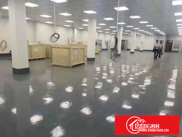 出租清溪镇清溪客运站高大上标准厂房