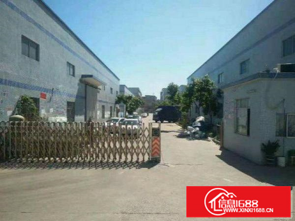 惠州镇隆新出原房东1400平钢构实际面积