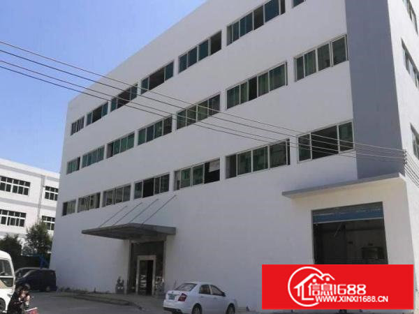 观澜全新精装修商业，办公楼招租