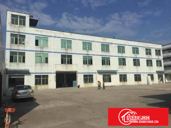 超大空地，新圩靠近深圳独院分租1700平米