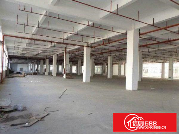 东坑楼上标准厂房1800平原房东招租