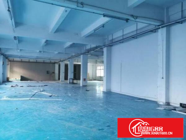 清溪荔横村标准一楼1600平米，带精装修办公室厂房出租