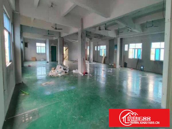 全新原房东独院标准厂房出租带红本国土证，消防喷淋,可分租