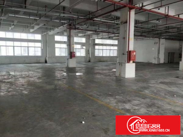 6米高标准一楼1500平米出租凤岗竹塘工业园现成水电办公