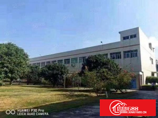 低价！低价！低价！清溪原房东标准独院厂房2100平方急租