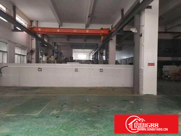 大岭山镇杨屋租客出租一楼1000平厂房有行车有办公室装修可分