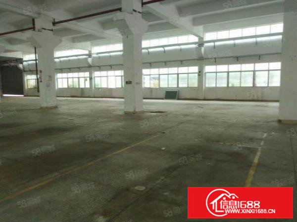 清溪浮岗新出1200平一楼挑高5.9米，梁下5.5米，急租