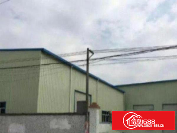 万江环城路外独院单一层砖墙到顶4100平方出租可办环评