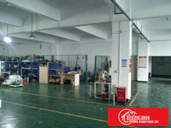 惠阳新墟影视城火爆招租1000平起租只接受影视摄影行业