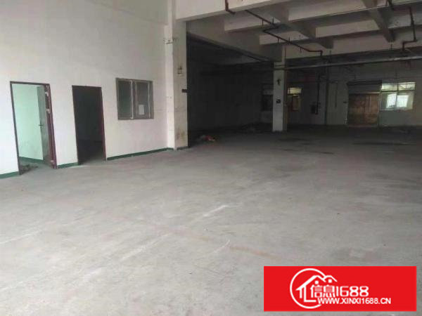 布吉吉华工业区一楼标准厂房300方厂房出租