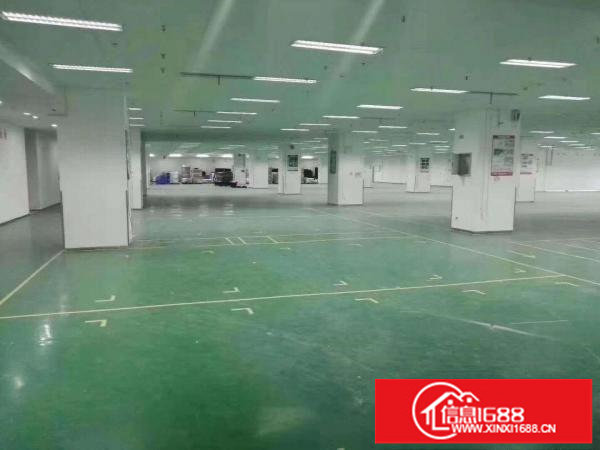 布吉吉华路边上大型园区1万平方红本厂房出租200分租可办环评