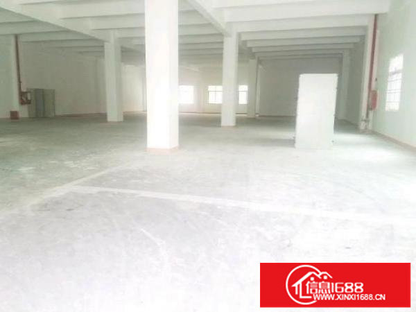 出租丨大浪商业中心附近一楼1745平方厂房大小可分停车位充足