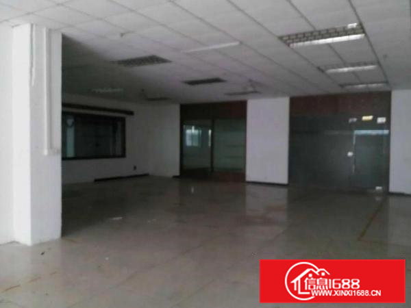 镇中心1000一楼标准厂房6米高出租