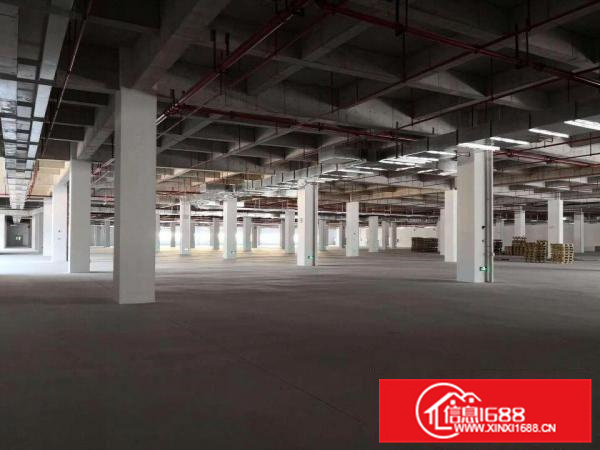 惠水口附近工业区独栋厂房19500平方出租