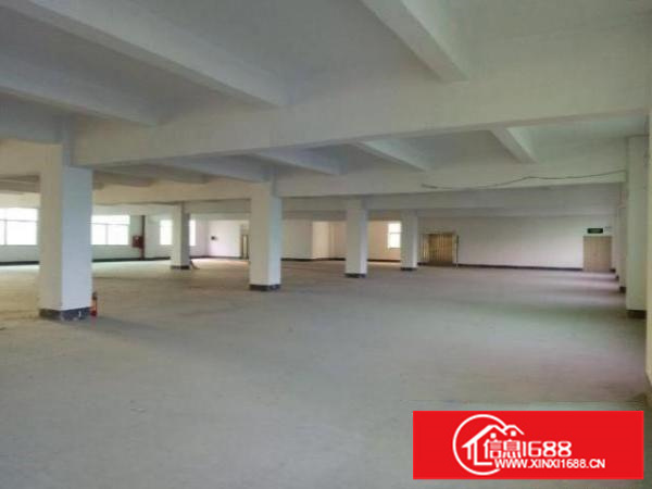 坑梓金沙楼上整层厂房1375平米出租