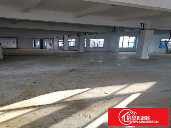 虎门南栅独门独院厂房