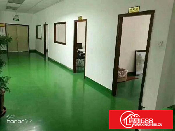 龙岗龙东4600平无公摊独院厂房出租，白菜价18元